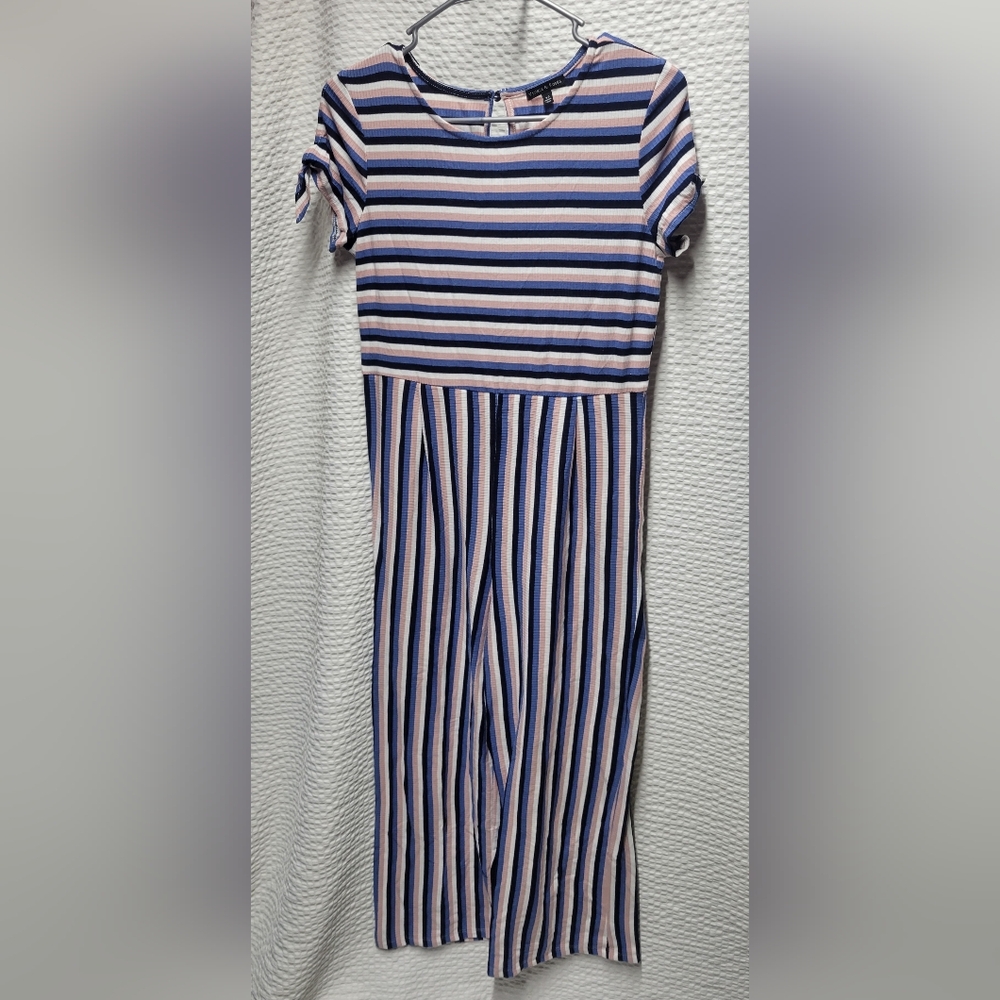 Violets & Roses Striped Blue and Pink Jumpsuit